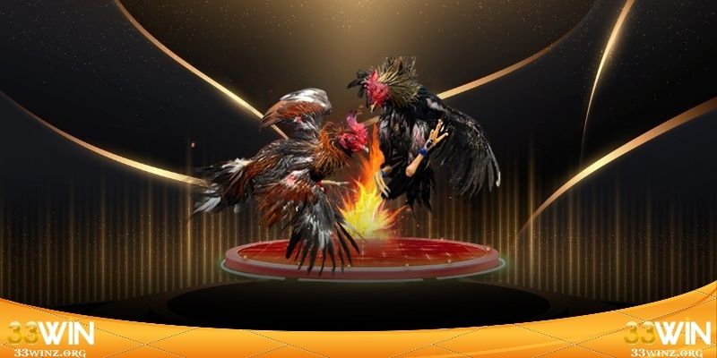 Cách đánh giá chất lượng đường truyền sới bạc